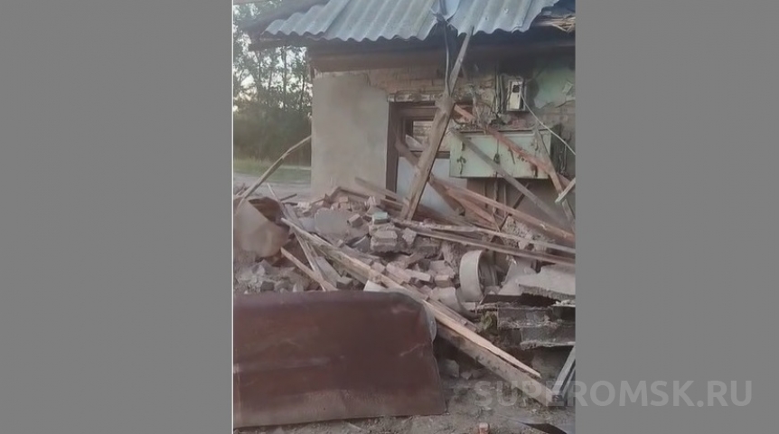 Построенный пенсионером собачий дом на окраине Омска жестоко разрушили и обрекли 24 животных на скитания