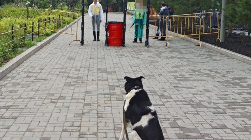 Омичка пожаловалась на отказ пустить ее на «Зеленый остров» с собакой