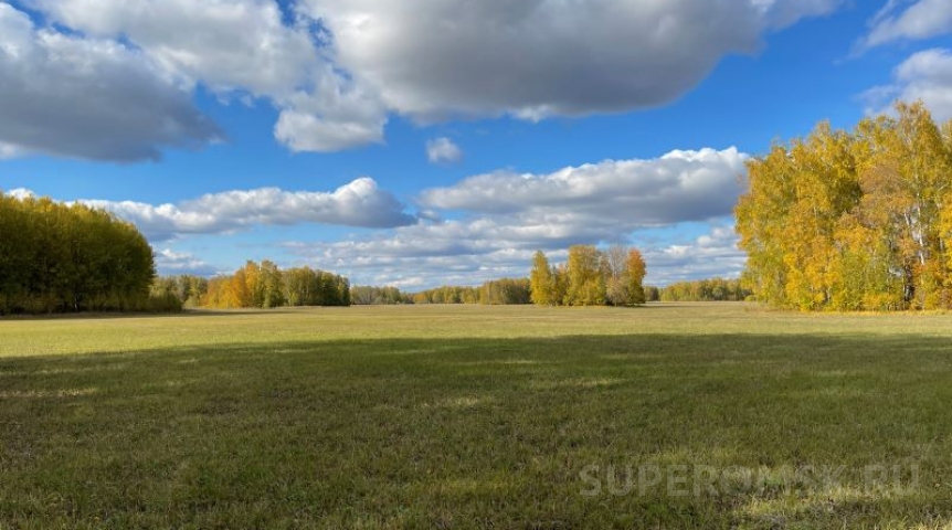 Гидрометцентр РФ огласил неожиданный прогноз на сентябрь в Омской области