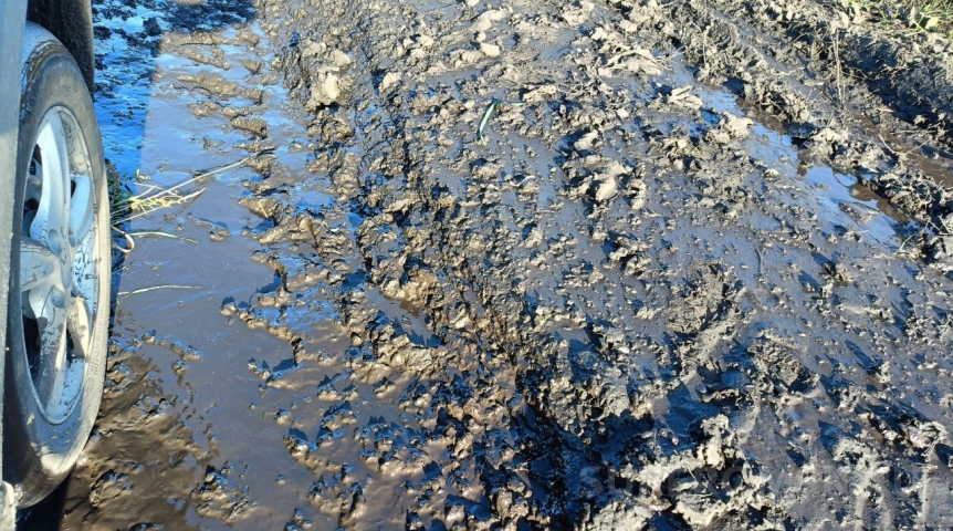 После жалоб на дорогу Омск – Колосовка завели уголовное дело