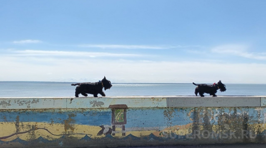 Внезапно на реках Сибири замечены опасные явления