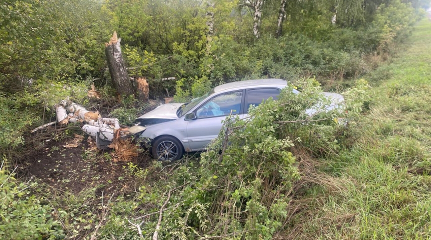 Омич пострадал при таране березовой рощи под Воронежем
