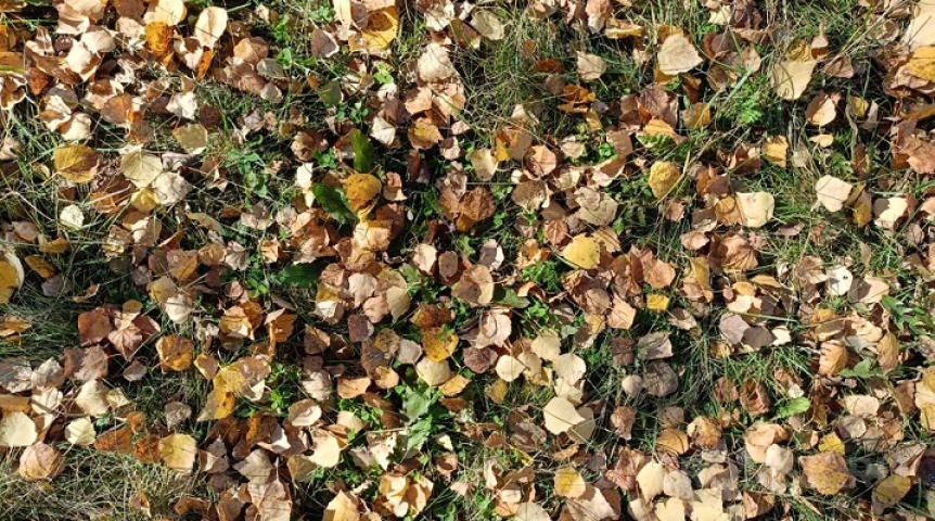 Омск и область накроет мощнейшее похолодание до осенней температуры