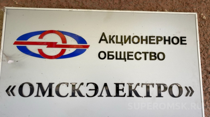Суд отправил гендиректора «Омскэлектро» под арест на два месяца