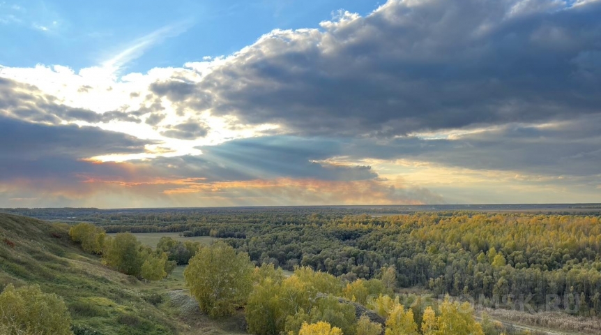 Лето вернется в Омск на пару дней