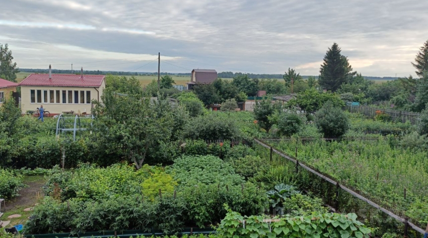 Омские садоводства массово становятся ТСН