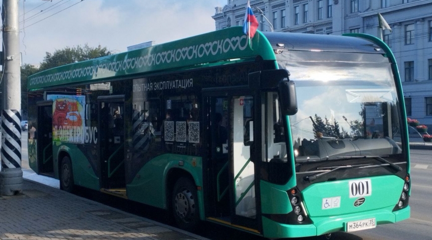 Транспорт Омска украсили российским триколором