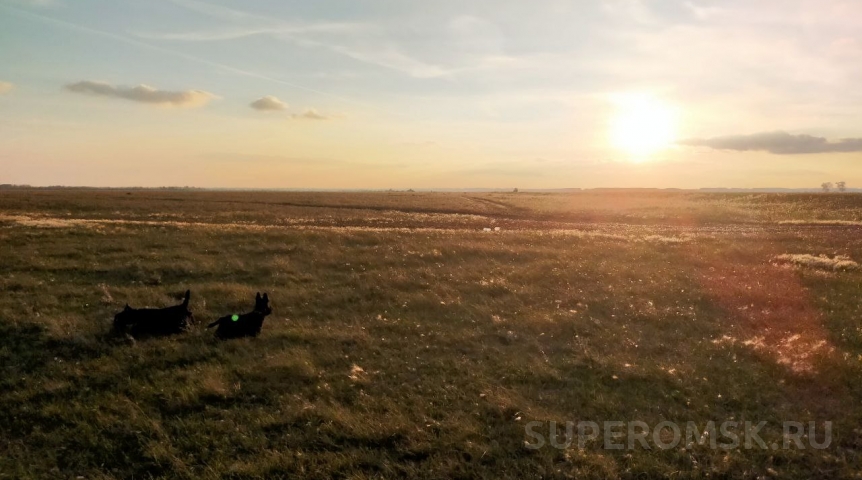 Погода в Омской области готовит невероятный сюрприз