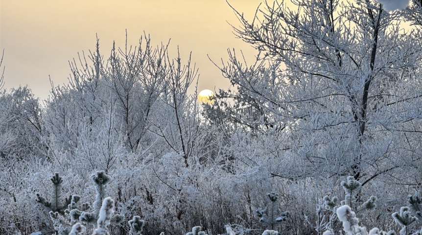 Как спасти вечную мерзлоту: дома на сваях, косы и футляры Арктики