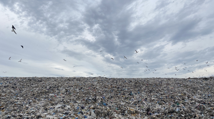 Известный ресторан заподозрили в загрязнении Омска ради экономии
