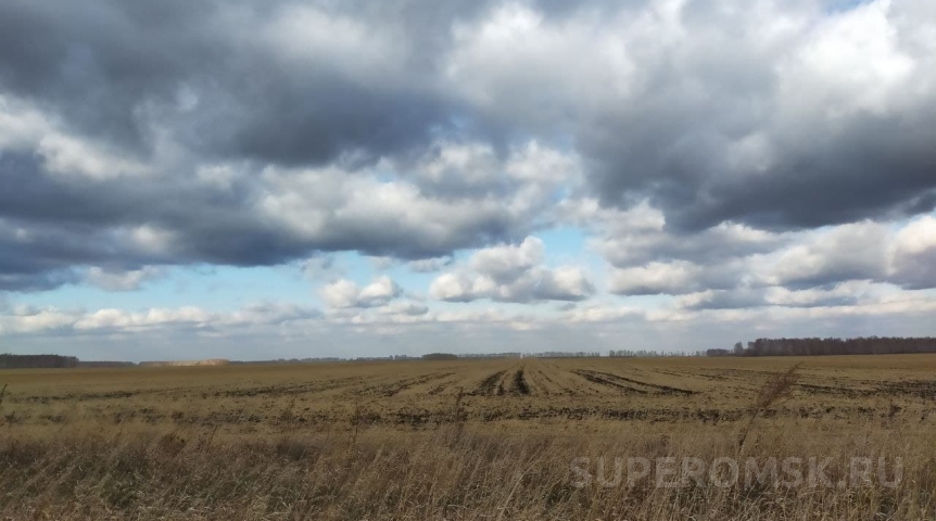 Омск включили в топ-3 городов с самой дешевой землей