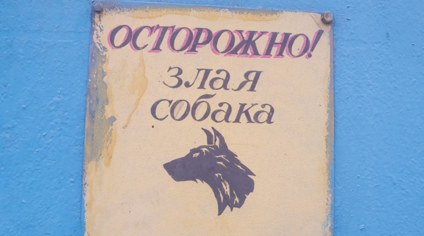 Тарчанка отсудила в омском суде более 100 тысяч за покус собаки