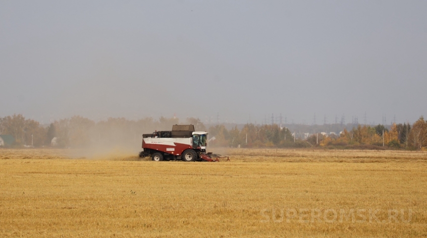В Омске назвали рекордсменов уборочной