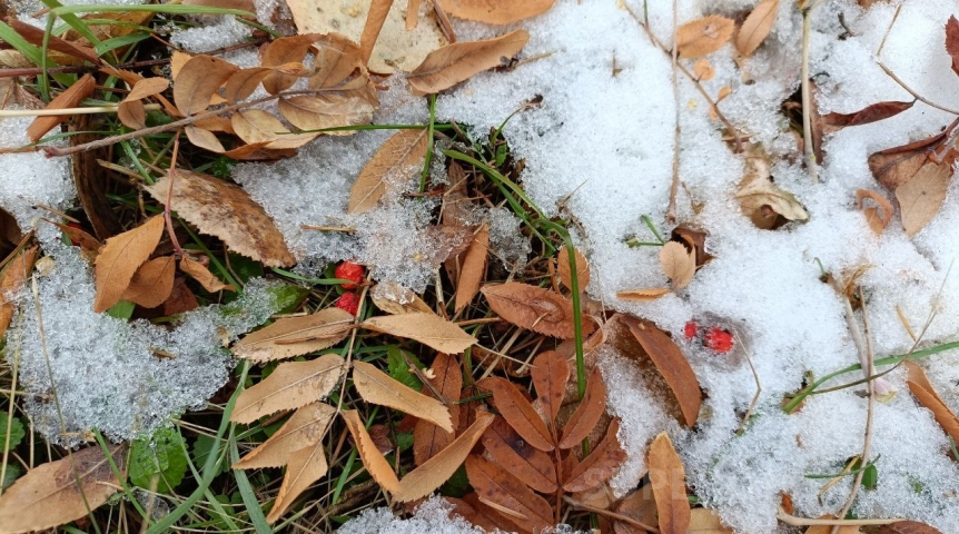 К Омской области приближается циклон с первым снегом