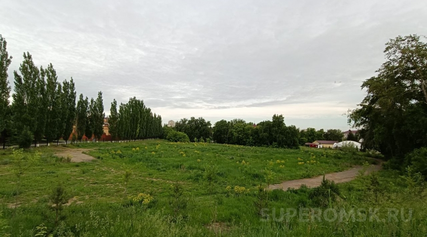 Будущее Старозагородной рощи Омска оценили в 912 миллионов рублей