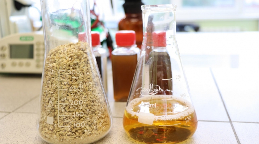 Омское пиво начали ускорять биокатализаторами