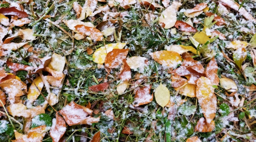 В Омской области ударят затяжные заморозки до -5 °C