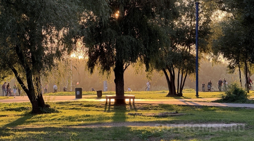 Концессионер отчитался о развитии омского парка «Зеленый остров»