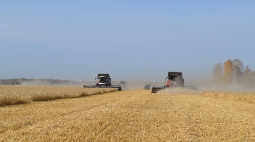 Виталий Хоценко объявил о новых достижениях омских аграриев
