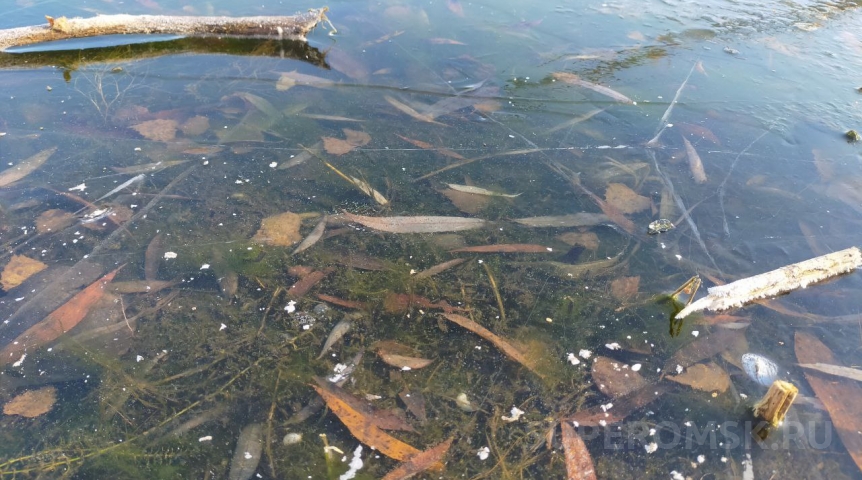 На Омскую область обрушится аномальный холод с минусовой температурой