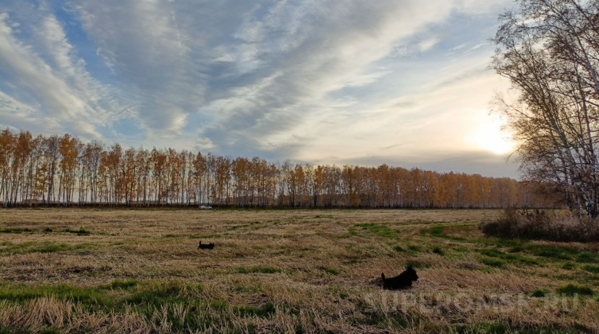 Бабье лето в Омской области стартует очень скоро