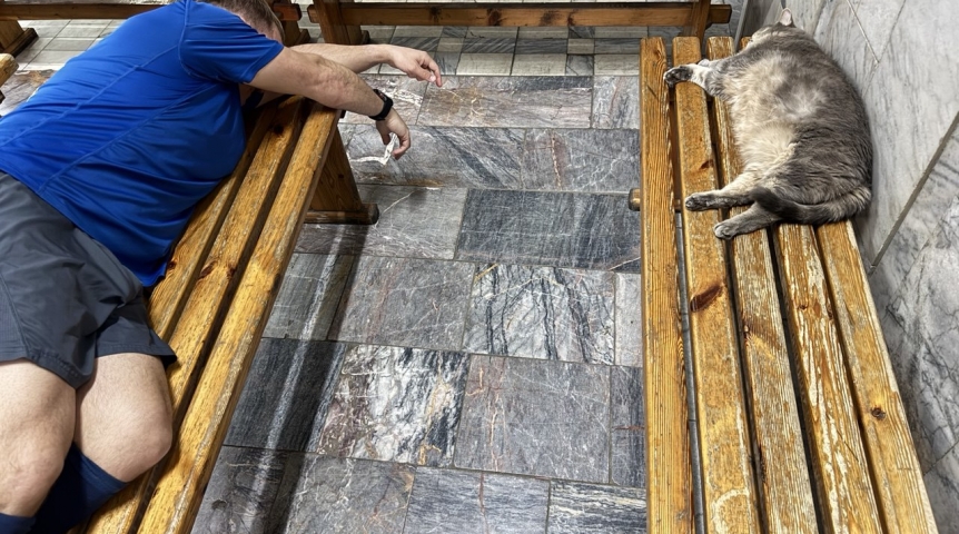 Энергопотенциал человеческого организма: какой источник питания обеспечивает максимальную эффективность?