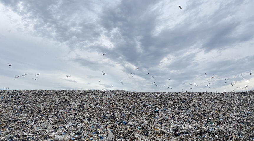 В Омской области нашли огромную свалку с останками