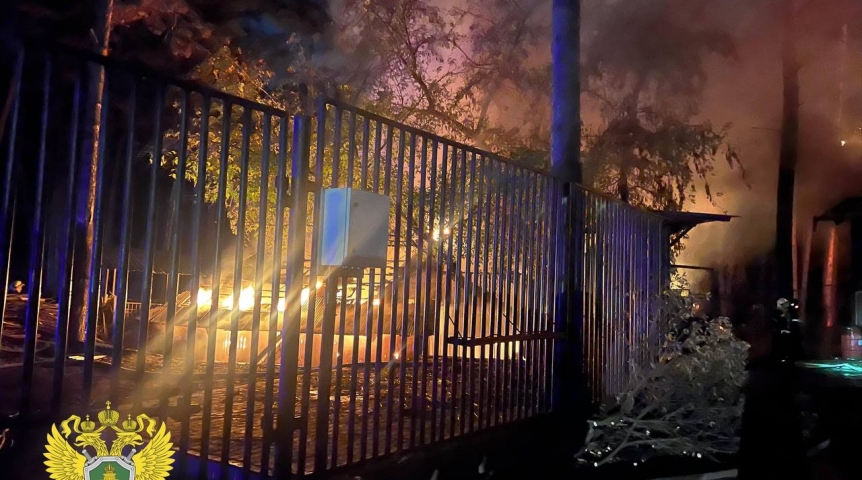 Названы животные, погибшие при пожаре в Новосибирском зоопарке