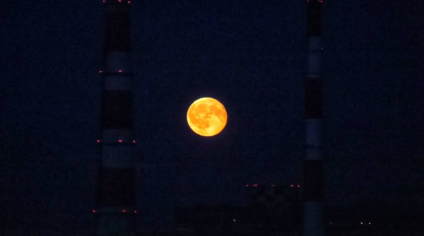 Омичам посчастливится увидеть уникальное явление