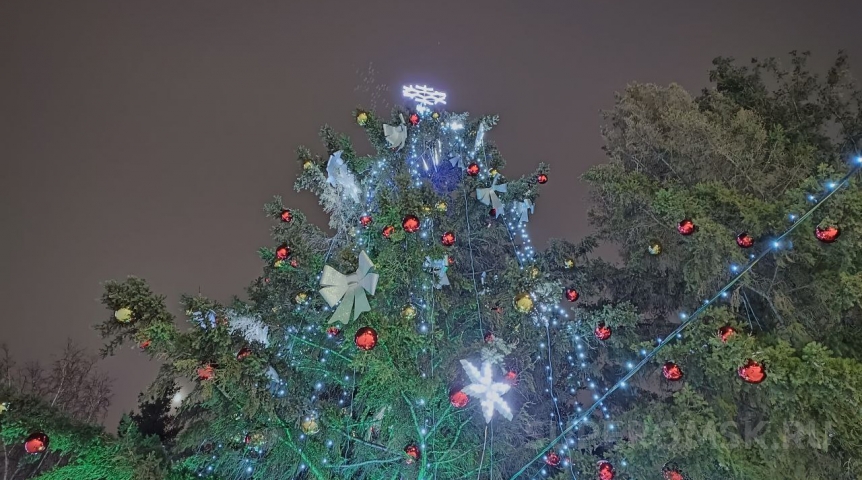 В Омске начали устанавливать первую новогоднюю елку