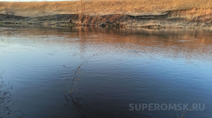 Омский эколог рассказала о следах пестицидов в Оми