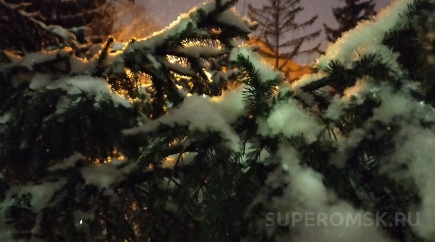 Названа дата мощного похолодания в Омске и области до -14 °C