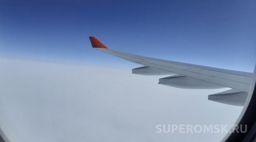 Самолет Москва – Омск ушел на второй круг из-за стаи птиц