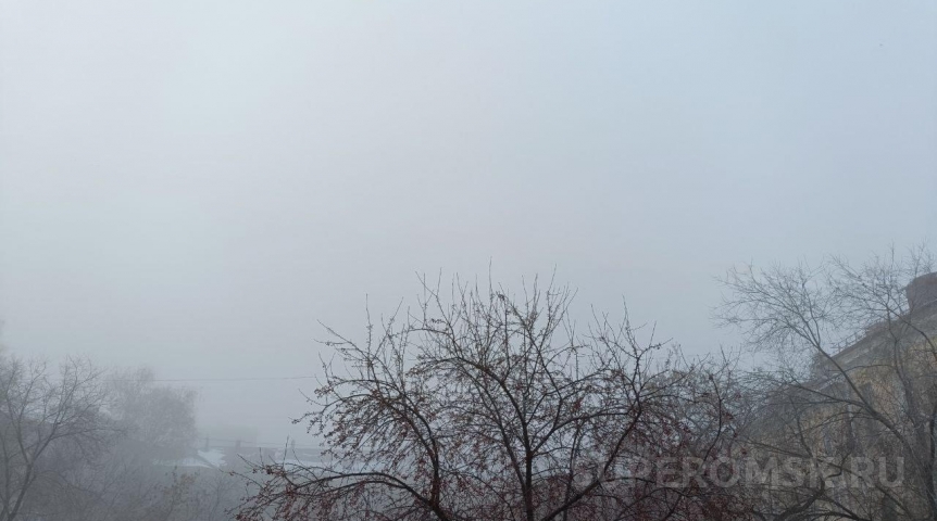 Первый снег в Омской области выпал раньше обычного