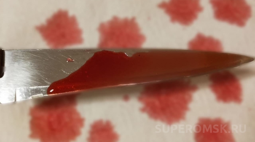 В Омской области женщина погибла, защищая мужчину от ножа