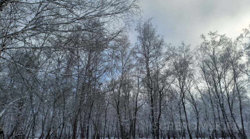 Октябрьский снег спровоцировал ЧС в двух районах Омской области