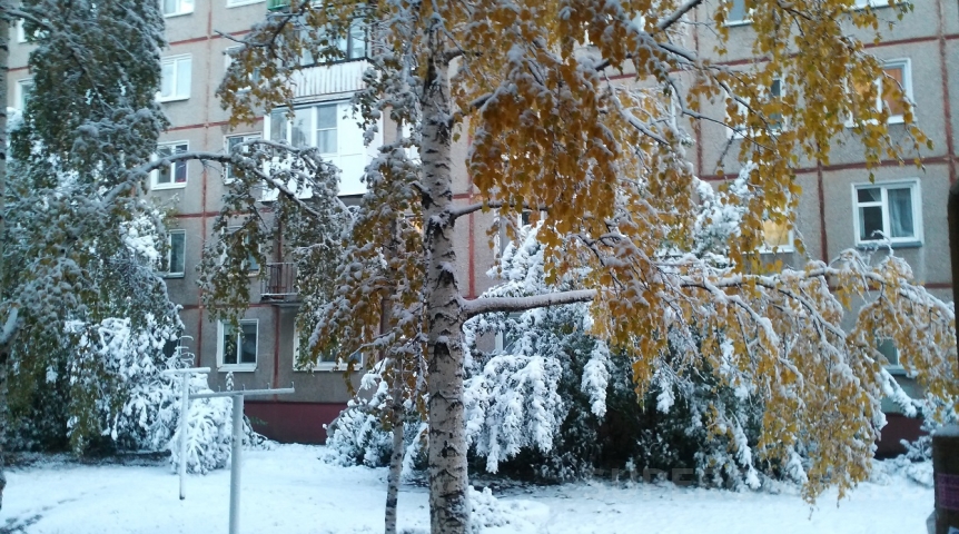 На Омск и область обрушится снежный циклон с севера