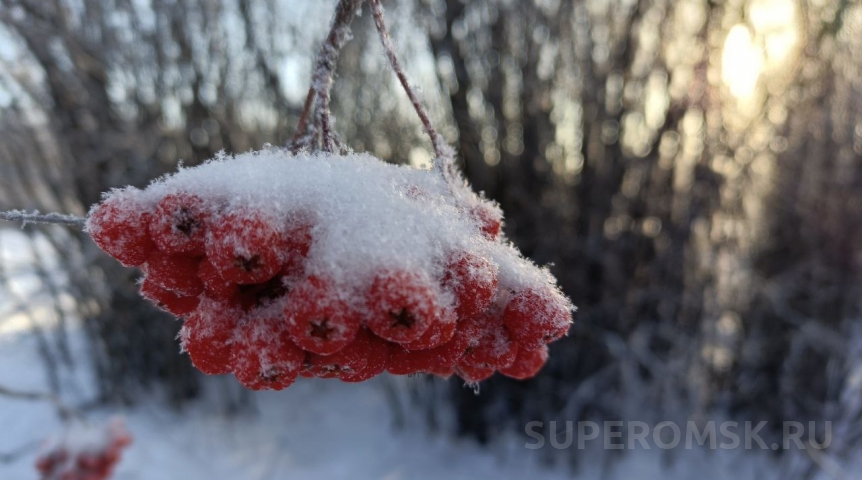 «Рассчитывать на тепло не стоит»: Вильфанд высказался о погоде в Омской области