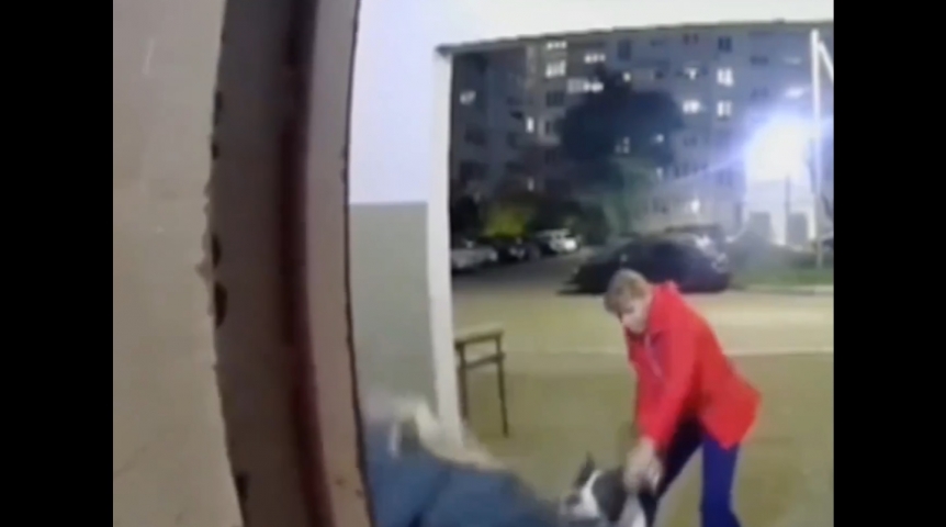 Хозяйка собаки, покусавшей девочку в Омске, высказалась о случившемся