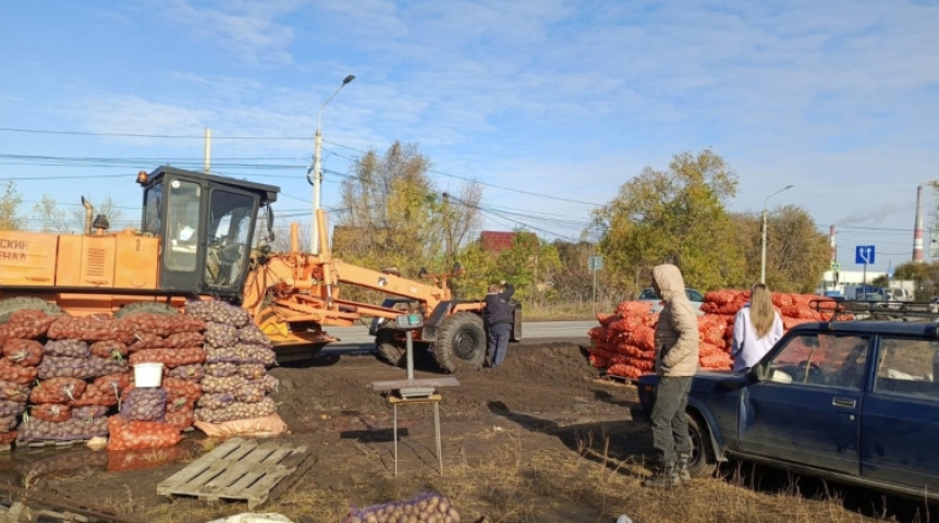 На окружной дороге в Омске накрыли незаконную торговлю картошкой