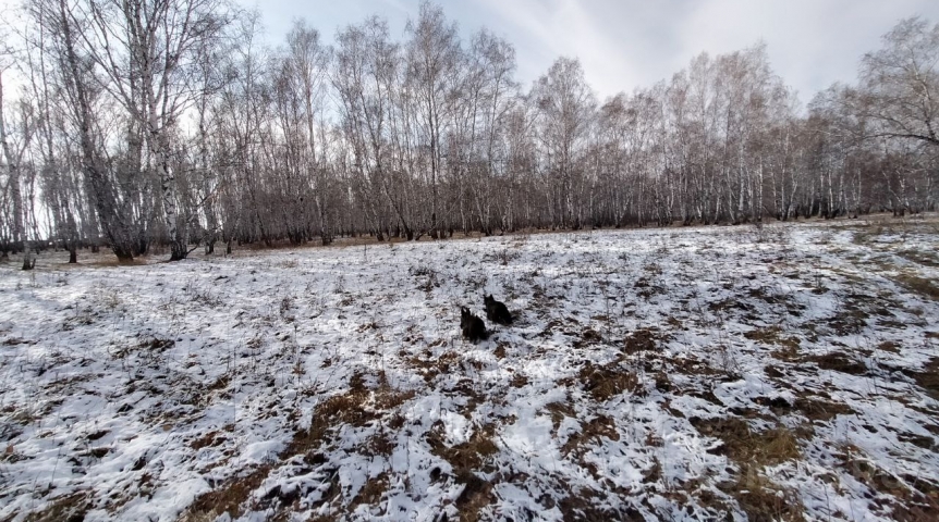 В Омске ожидается значительное потепление