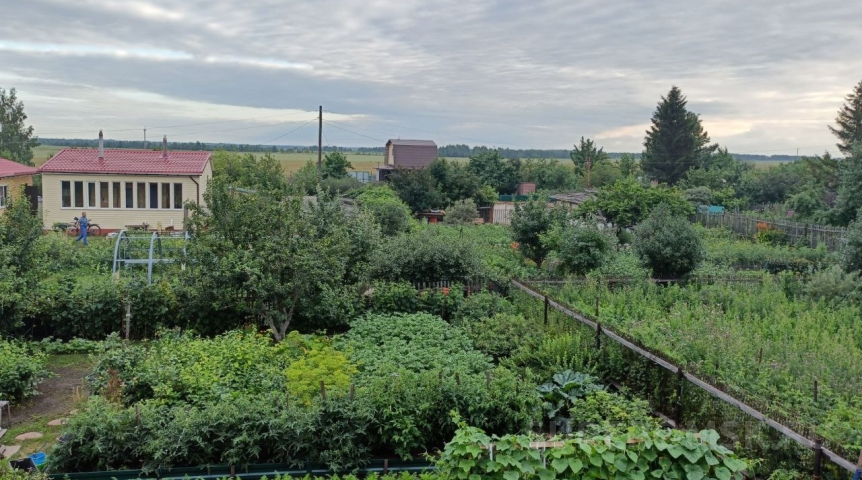 Омским садоводам утвердят порядок доступа к воде