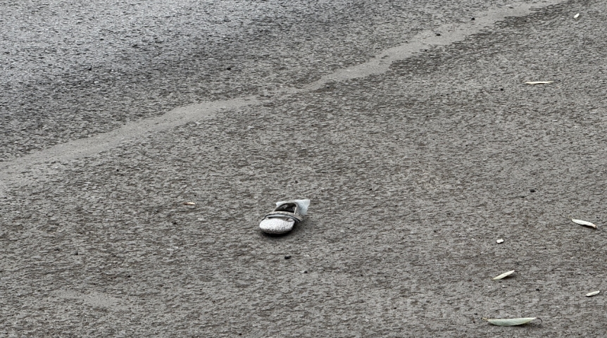 Девочка с портфелем пропала в Омской области