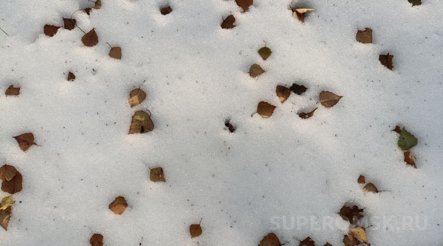 В ноябре погода в Омске изменится