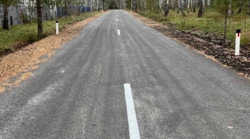 Виталий Хоценко объявил о восстановлении дороги к омскому ДОЛ «Березовая роща»