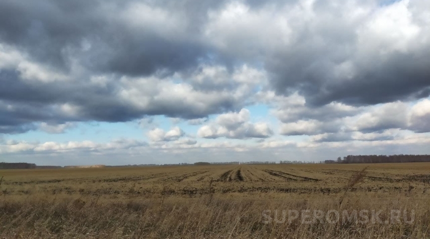 Омского землевладельца оштрафовали за хлам на участке