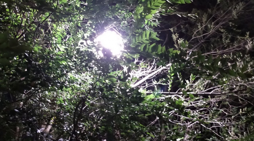 Омичей напугал громкий звук стрельбы в темноте