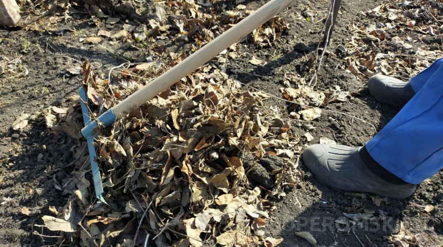 Омичей призывают на общегородской субботник