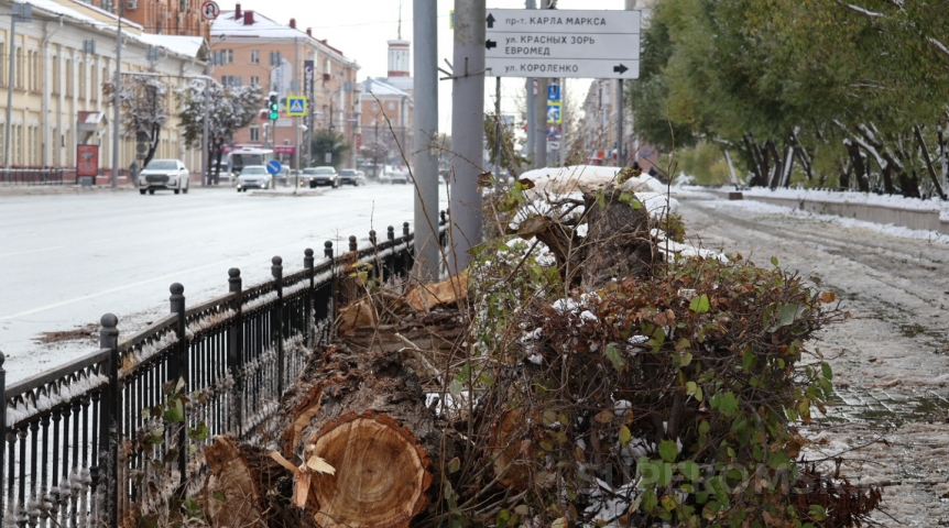 В Омске начали вырубать деревья у ТЮЗа