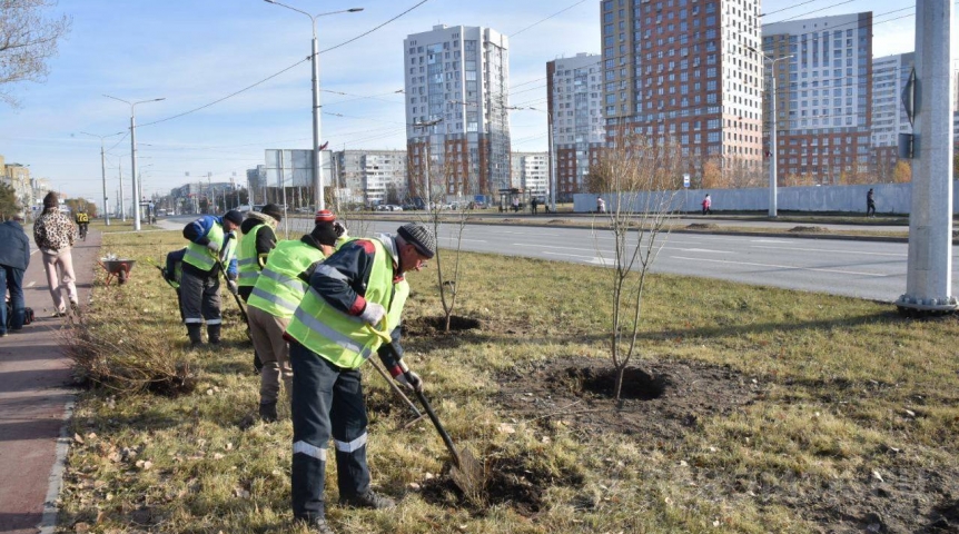 Мэр Омска Сергей Шелест рассказал о масштабном озеленении обновленного бульвара